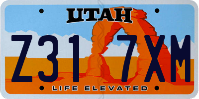 UT license plate Z317XM