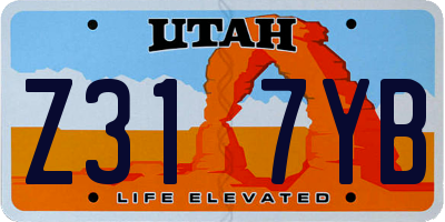 UT license plate Z317YB