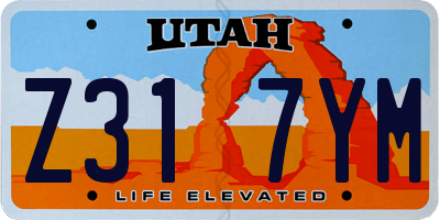 UT license plate Z317YM
