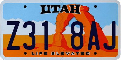 UT license plate Z318AJ