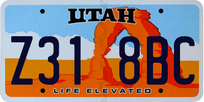 UT license plate Z318BC