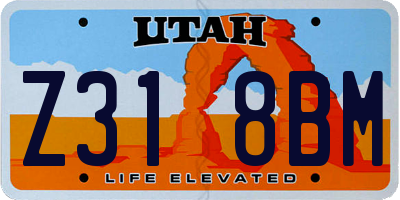UT license plate Z318BM