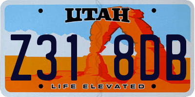 UT license plate Z318DB