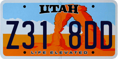 UT license plate Z318DD
