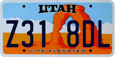 UT license plate Z318DL