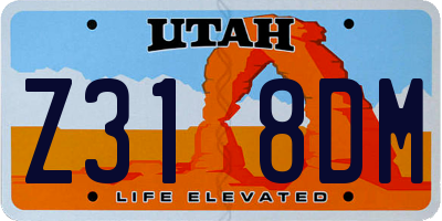 UT license plate Z318DM