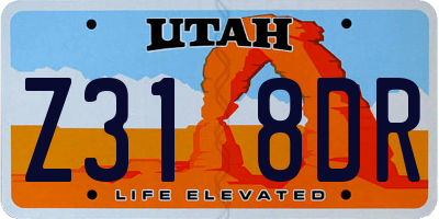UT license plate Z318DR