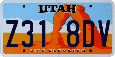 UT license plate Z318DV