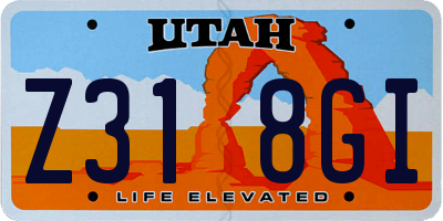 UT license plate Z318GI