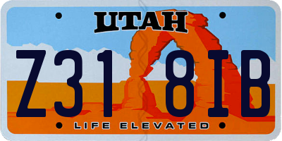 UT license plate Z318IB