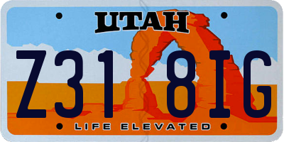 UT license plate Z318IG