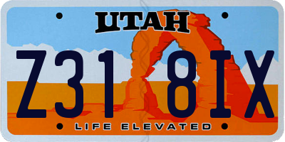 UT license plate Z318IX