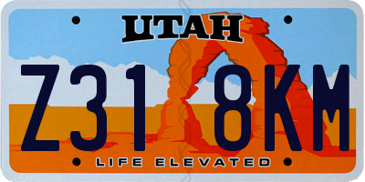 UT license plate Z318KM