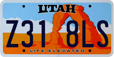 UT license plate Z318LS