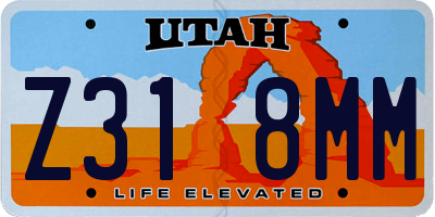 UT license plate Z318MM