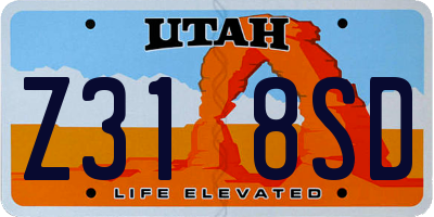 UT license plate Z318SD
