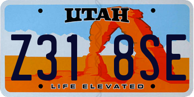 UT license plate Z318SE
