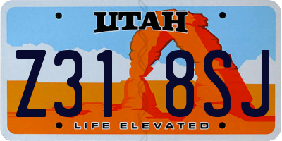 UT license plate Z318SJ