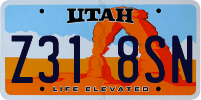 UT license plate Z318SN