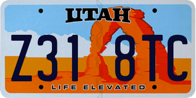 UT license plate Z318TC