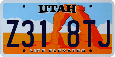 UT license plate Z318TJ