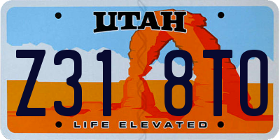 UT license plate Z318TO