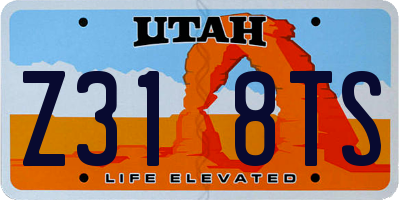 UT license plate Z318TS