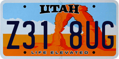 UT license plate Z318UG