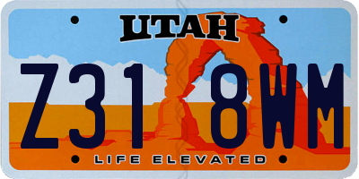 UT license plate Z318WM