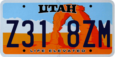 UT license plate Z318ZM