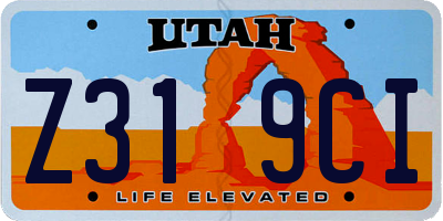 UT license plate Z319CI
