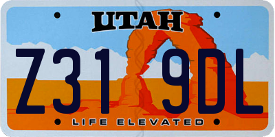 UT license plate Z319DL