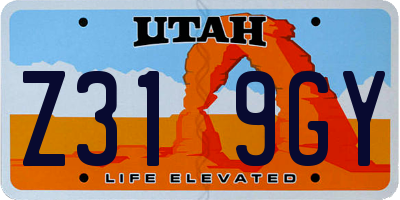 UT license plate Z319GY