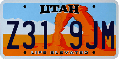 UT license plate Z319JM