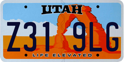 UT license plate Z319LG