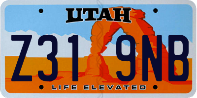 UT license plate Z319NB