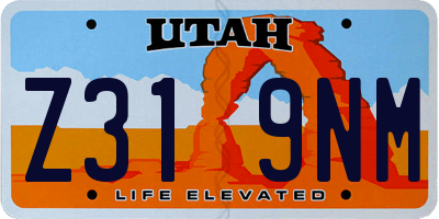 UT license plate Z319NM