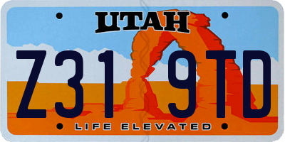 UT license plate Z319TD