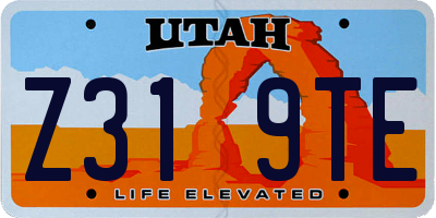 UT license plate Z319TE