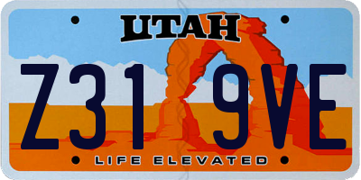 UT license plate Z319VE