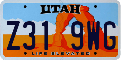 UT license plate Z319WG