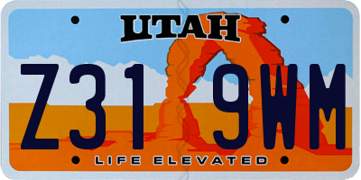 UT license plate Z319WM