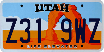 UT license plate Z319WZ