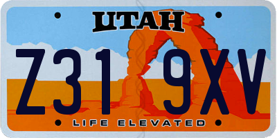 UT license plate Z319XV