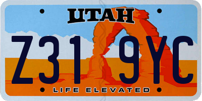 UT license plate Z319YC