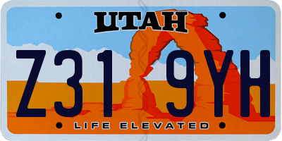 UT license plate Z319YH
