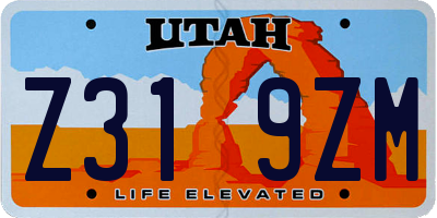 UT license plate Z319ZM