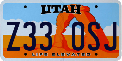 UT license plate Z330SJ