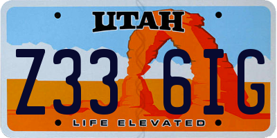 UT license plate Z336IG