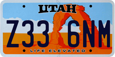 UT license plate Z336NM